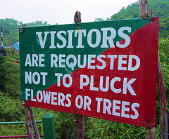 Pluck Trees